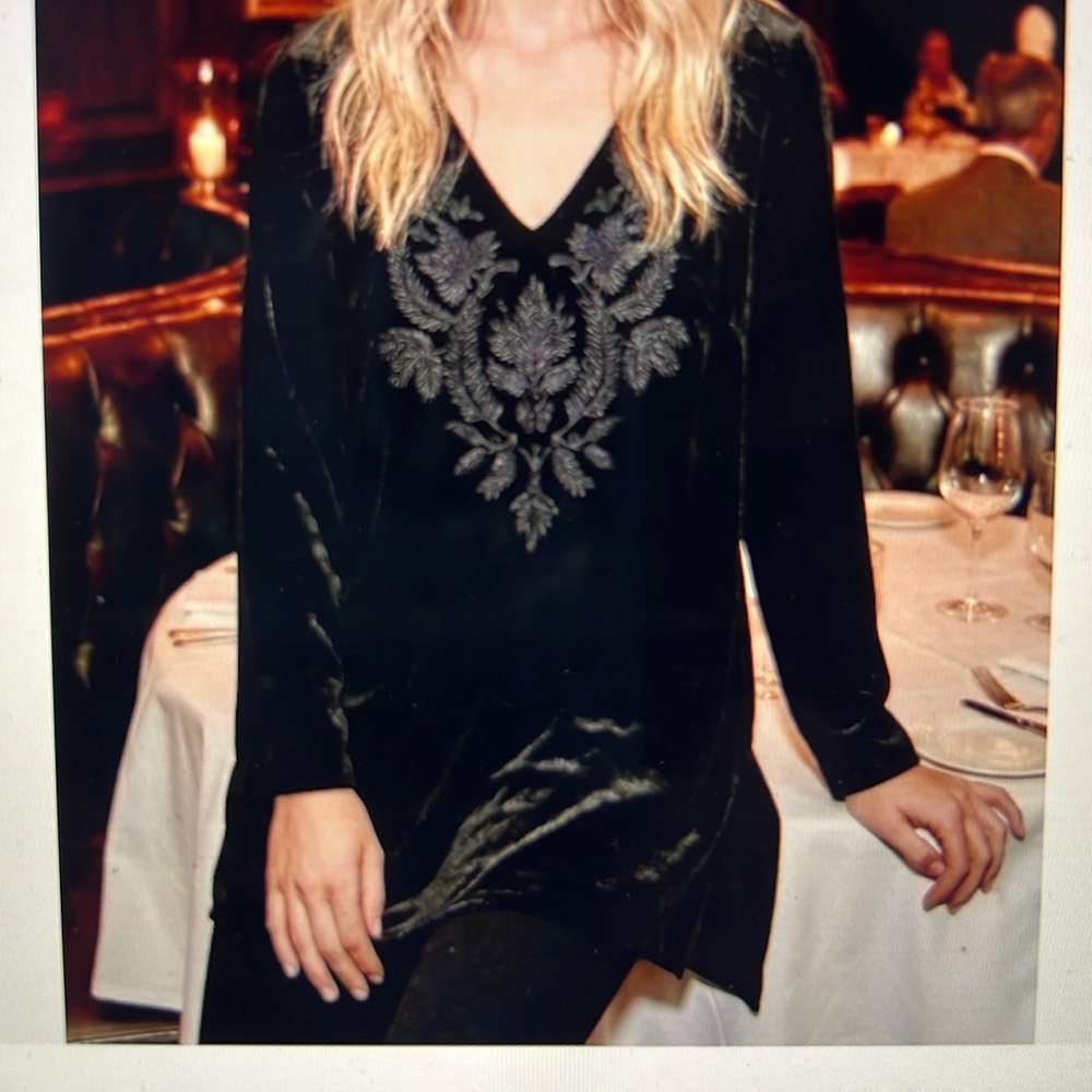 Johnny Was velvet tunic in like-new condition.